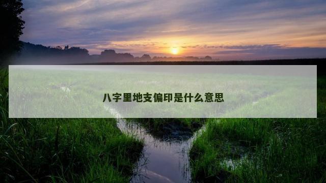 八字里地支偏印是什么意思