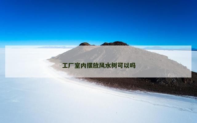 工厂室内摆放风水树可以吗