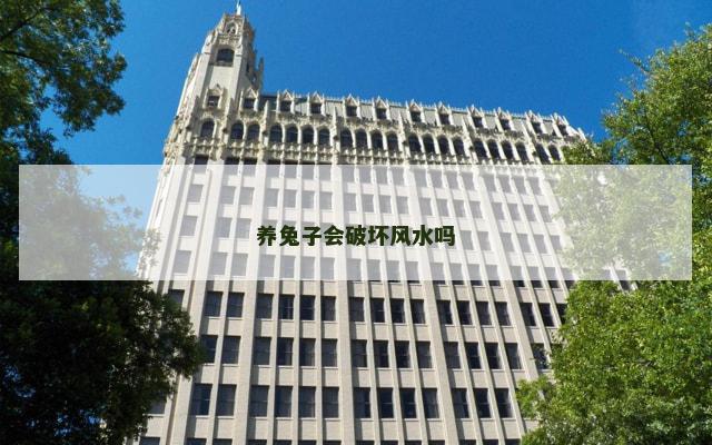养兔子会破坏风水吗