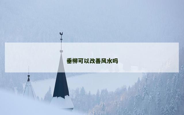 垂柳可以改善风水吗