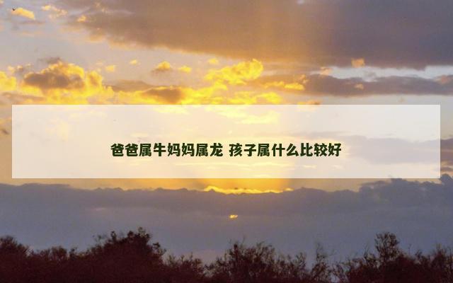爸爸属牛妈妈属龙 孩子属什么比较好
