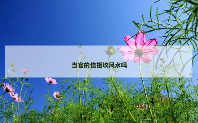 当官的信祖坟风水吗
