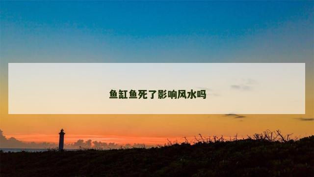 鱼缸鱼死了影响风水吗