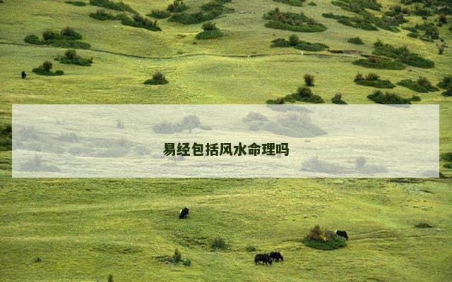 易经包括风水命理吗