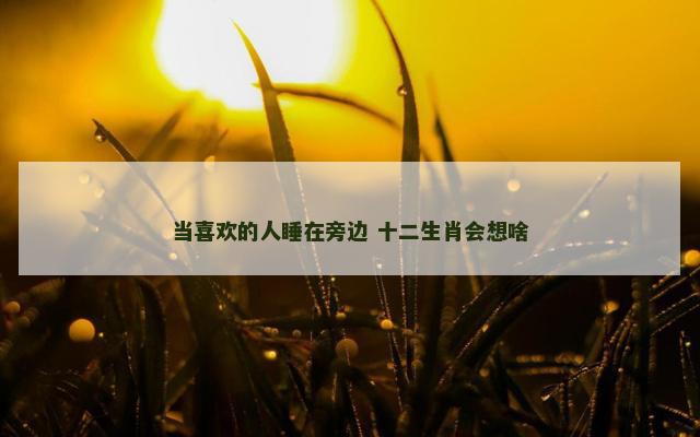 当喜欢的人睡在旁边 十二生肖会想啥
