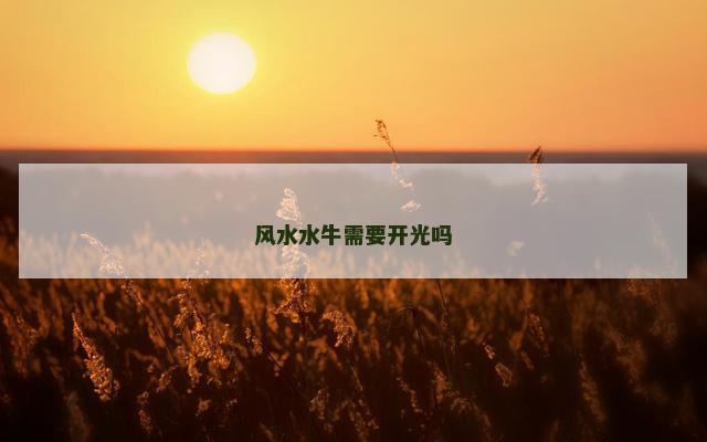 风水水牛需要开光吗