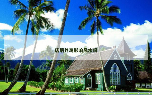 店后养鸡影响风水吗