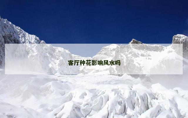 客厅种花影响风水吗