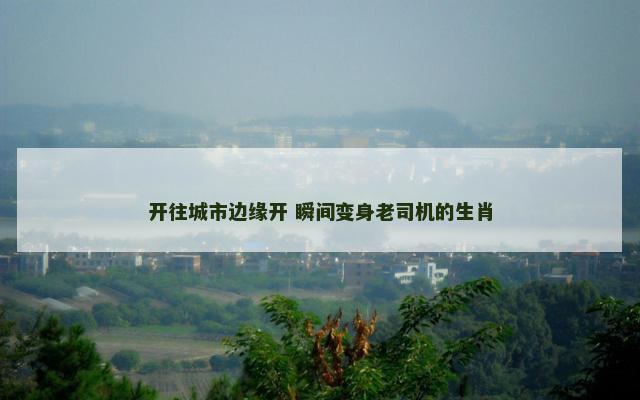开往城市边缘开 瞬间变身老司机的生肖