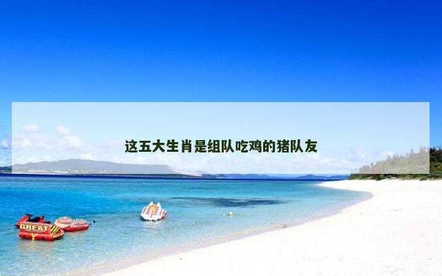 这五大生肖是组队吃鸡的猪队友