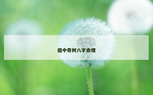 庭中奇树八字命理