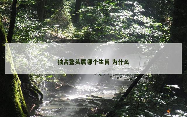 独占鳌头属哪个生肖 为什么