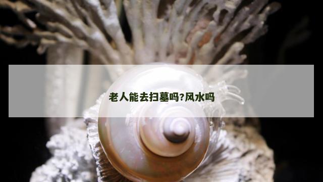 老人能去扫墓吗?风水吗