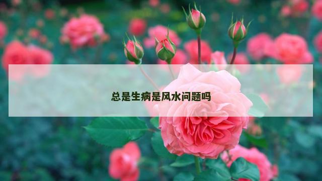 总是生病是风水问题吗