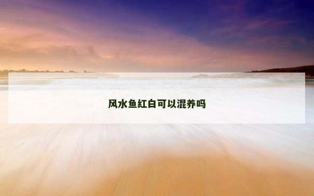 风水鱼红白可以混养吗