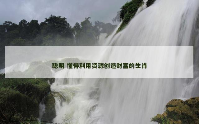 聪明 懂得利用资源创造财富的生肖