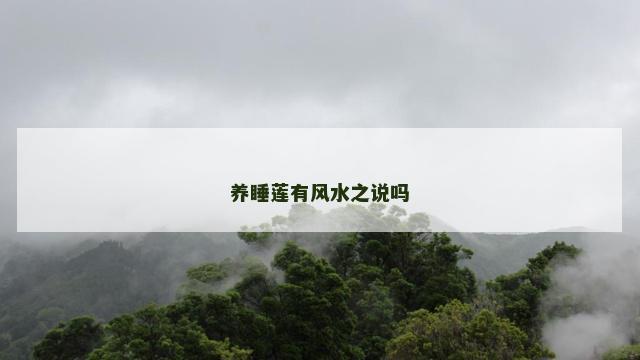 养睡莲有风水之说吗