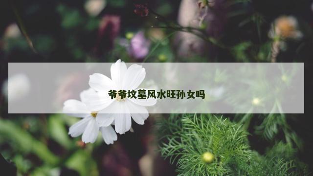 爷爷坟墓风水旺孙女吗