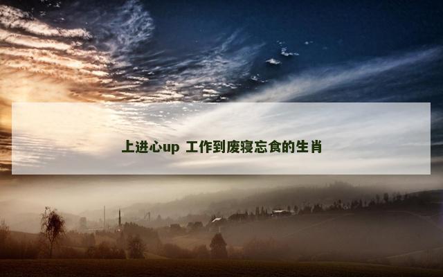 上进心up 工作到废寝忘食的生肖