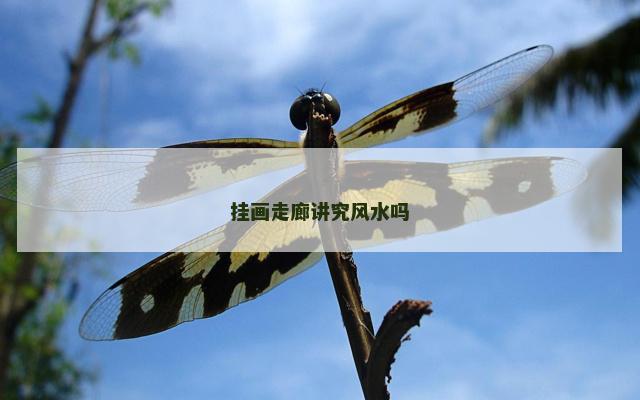挂画走廊讲究风水吗