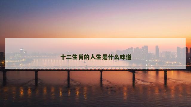十二生肖的人生是什么味道