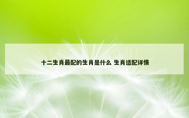 十二生肖最配的生肖是什么 生肖适配详情