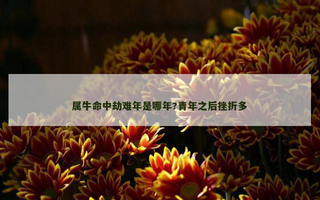 属牛命中劫难年是哪年?青年之后挫折多