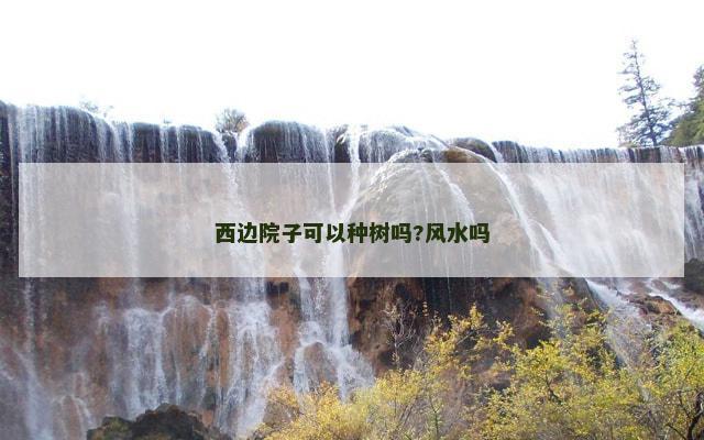 西边院子可以种树吗?风水吗