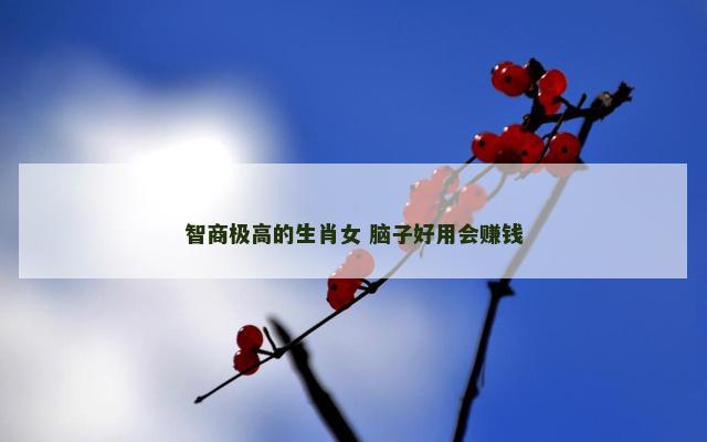 智商极高的生肖女 脑子好用会赚钱