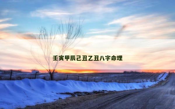 壬寅甲辰己丑乙丑八字命理