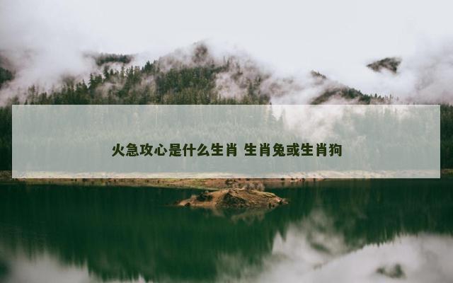 火急攻心是什么生肖 生肖兔或生肖狗
