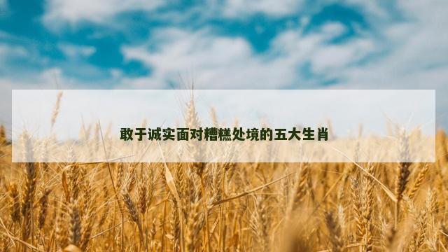 敢于诚实面对糟糕处境的五大生肖