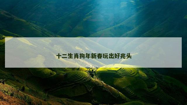 十二生肖狗年新春玩出好兆头