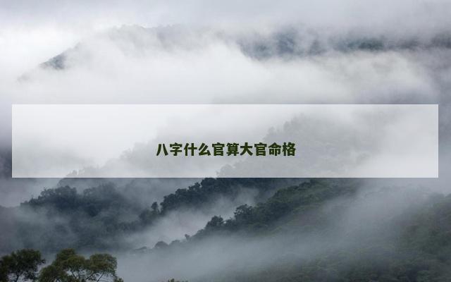 八字什么官算大官命格