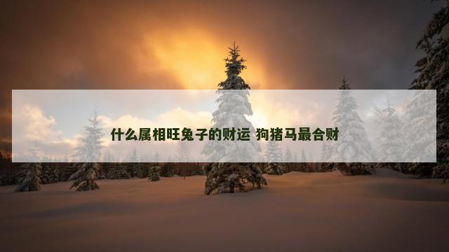 什么属相旺兔子的财运 狗猪马最合财