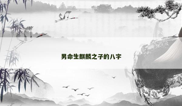 男命生麒麟之子的八字