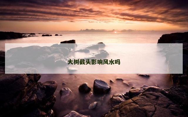 大树截头影响风水吗