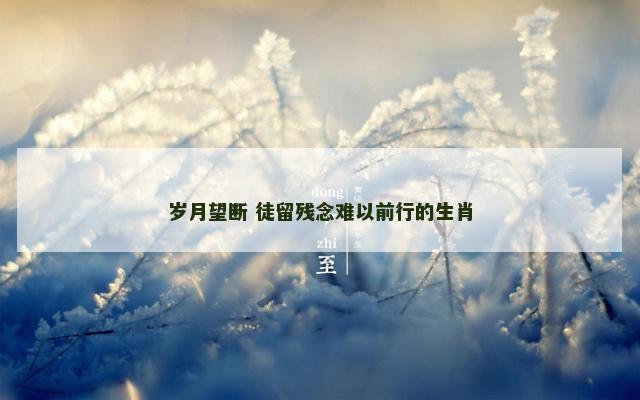 岁月望断 徒留残念难以前行的生肖