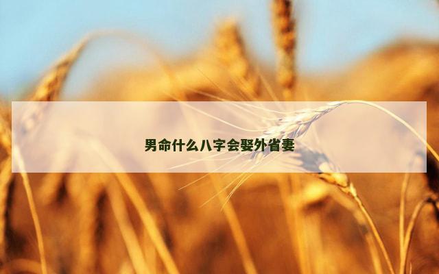 男命什么八字会娶外省妻