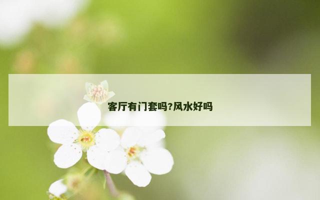 客厅有门套吗?风水好吗
