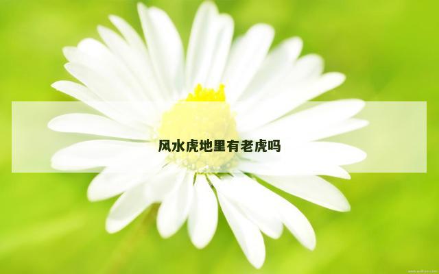 风水虎地里有老虎吗