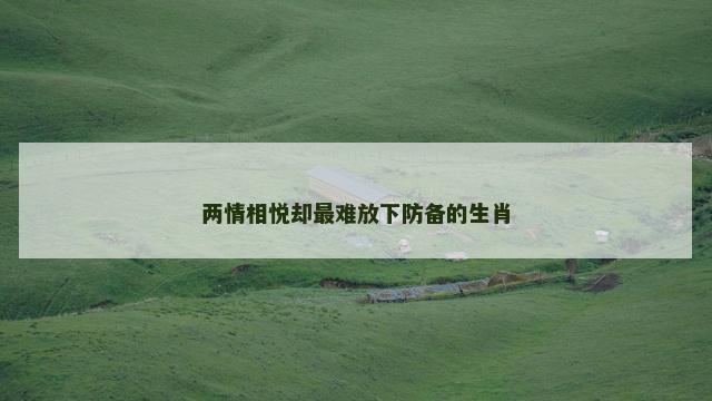 两情相悦却最难放下防备的生肖