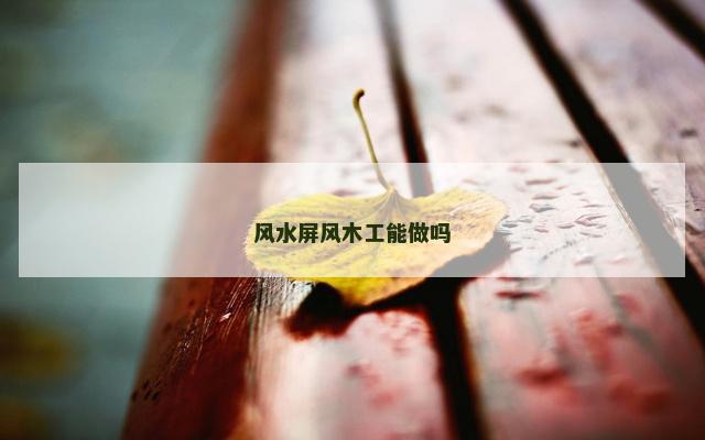风水屏风木工能做吗