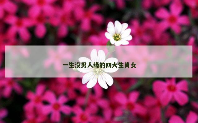 一生没男人缘的四大生肖女