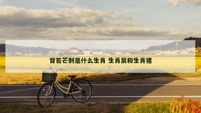 背若芒刺是什么生肖 生肖鼠和生肖猪
