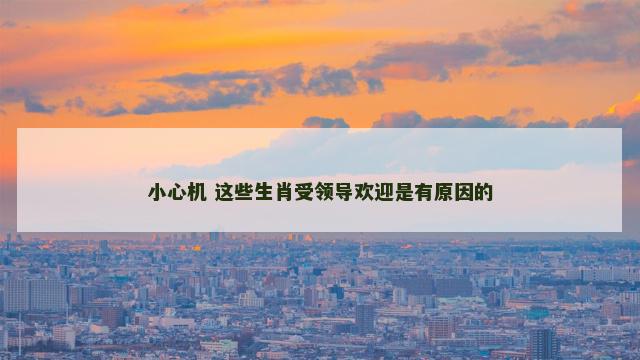 小心机 这些生肖受领导欢迎是有原因的
