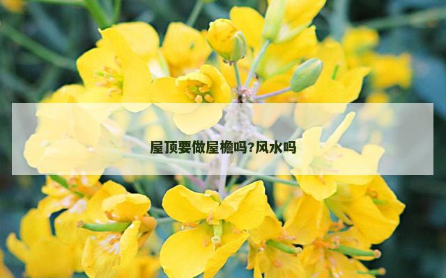 屋顶要做屋檐吗?风水吗