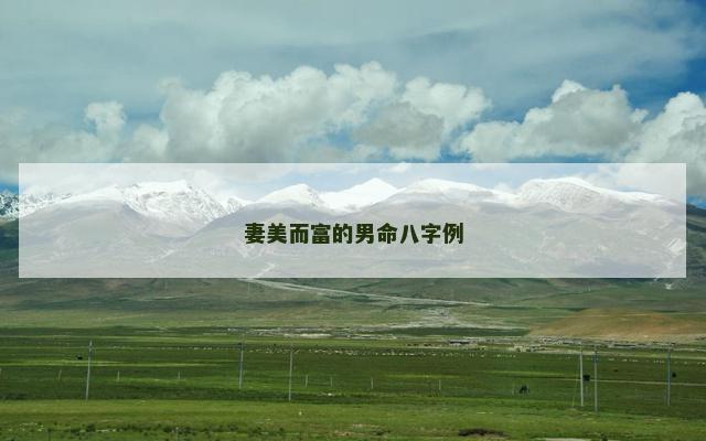 妻美而富的男命八字例