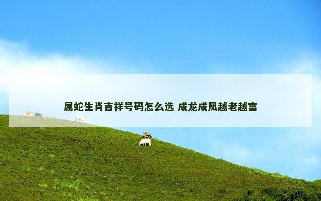 属蛇生肖吉祥号码怎么选 成龙成凤越老越富