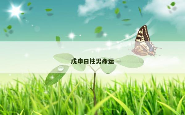 戊申日柱男命运
